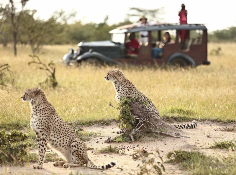 Cottar's 1920s Safari Camp - Game Drive