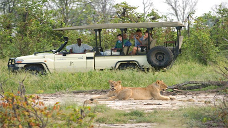 Sanctuary Baines' Camp - Game Drive