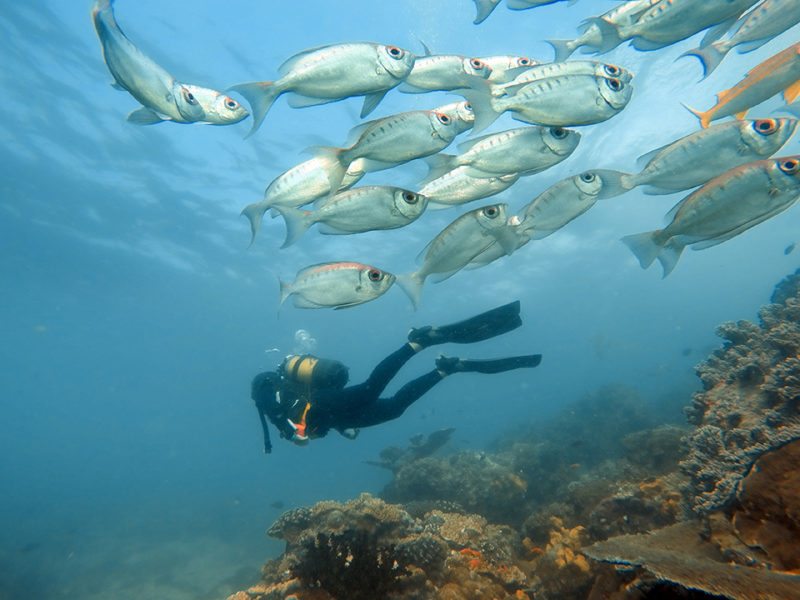 andBeyond Benguerra Island - Activities