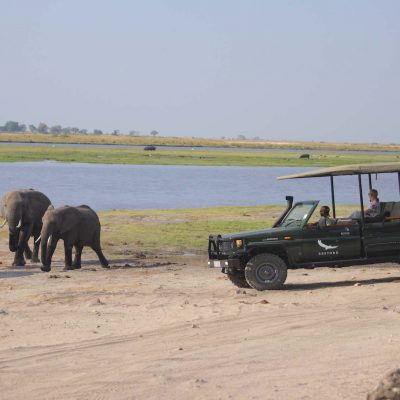 Wings Over Botswana