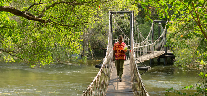 Sanctuary Sussi and Chuma - Swinging Bridge