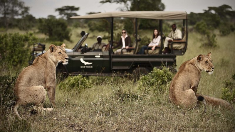 andBeyond Klein's Camp - Game Drive