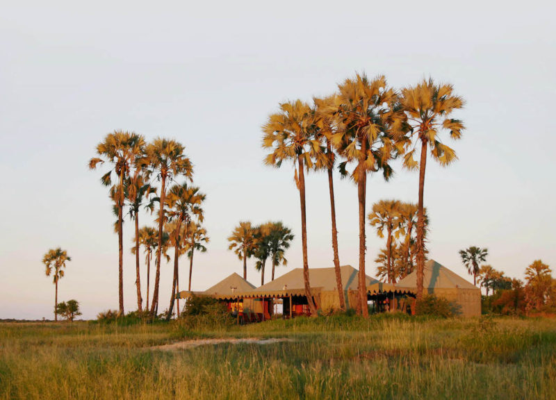 Jack's Camp - Tent At Sunset