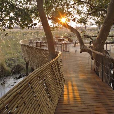 Experience Chobe and Delta Safari – Sandibe