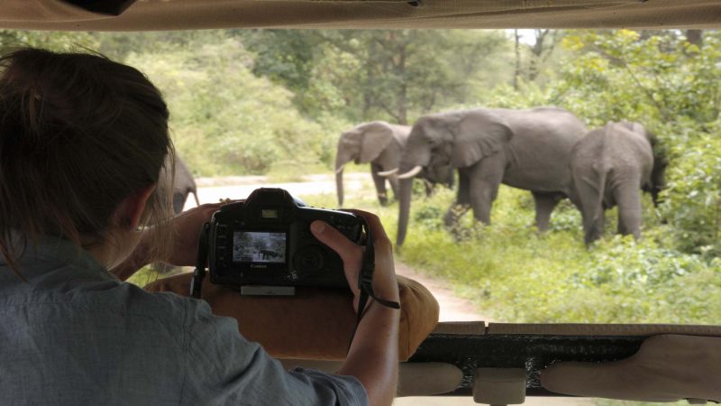 andBeyond Lake Manyara Tree Lodge - Game Drive