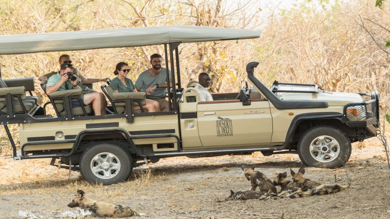 Savute Safari Lodge - Game Drive