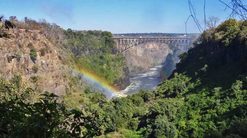 Zambia - Livingston - 1564 - Royal Chundu Zambezi River Lodge