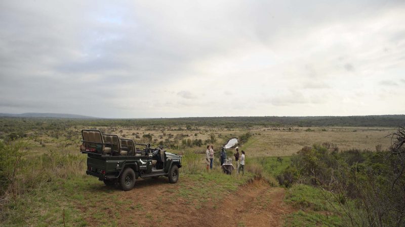 andBeyond Phinda Private Game Reserve - Vlei Lodge - Game Drive