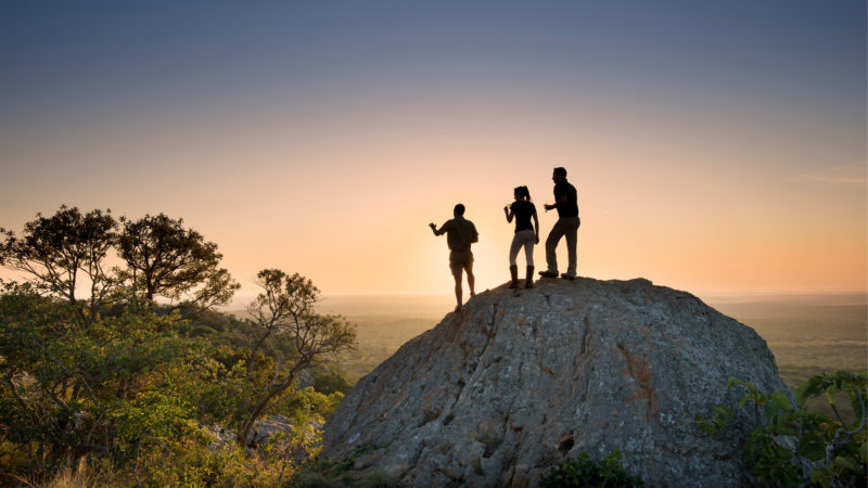 andBeyond Phinda Private Game Reserve - Homestead - Views