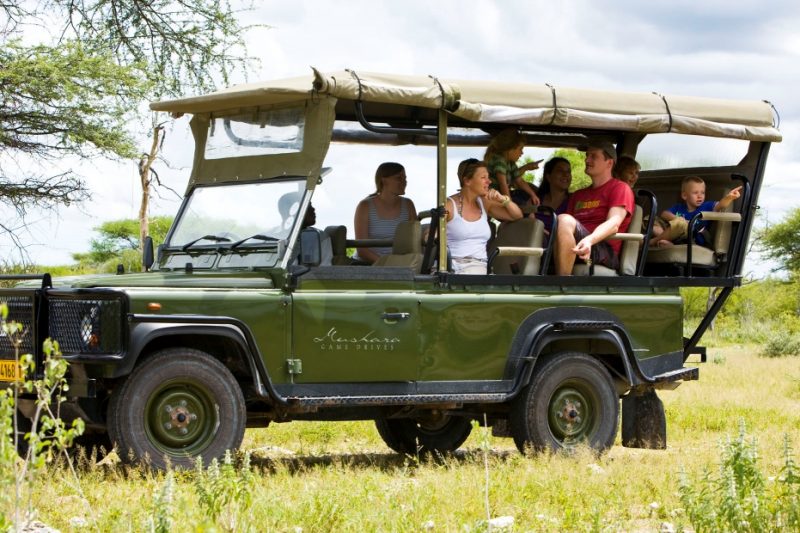 Mushara Bush Camp - Game Drive