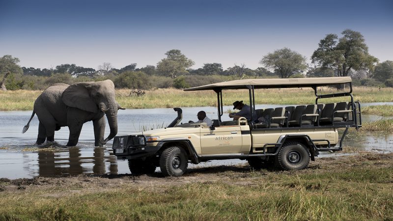 Khwai Tented Camp - Game Drive