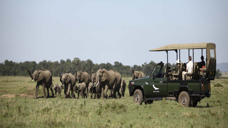 andBeyond Kichwa Tembo Tented Camp - Game Drive