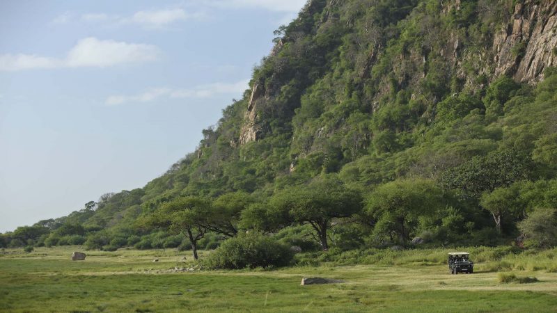 andBeyond Lake Manyara Tree Lodge - Game Drive