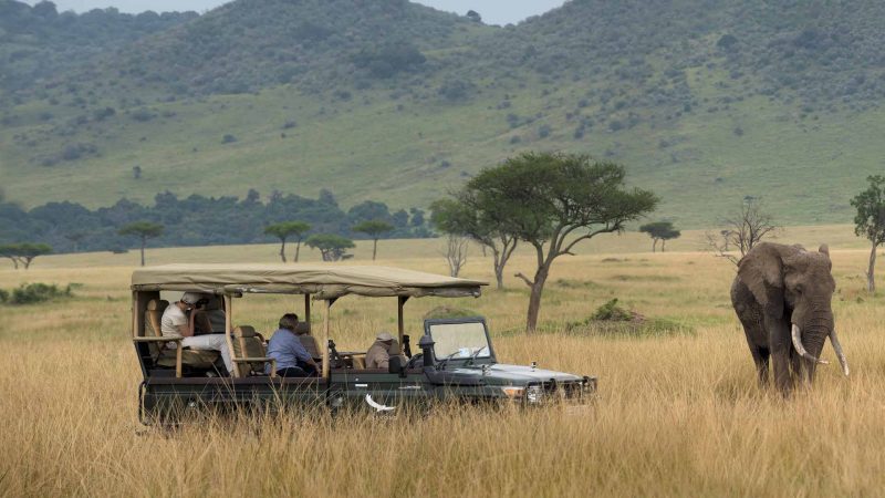 andBeyond Bateleur Camp - Game Drive