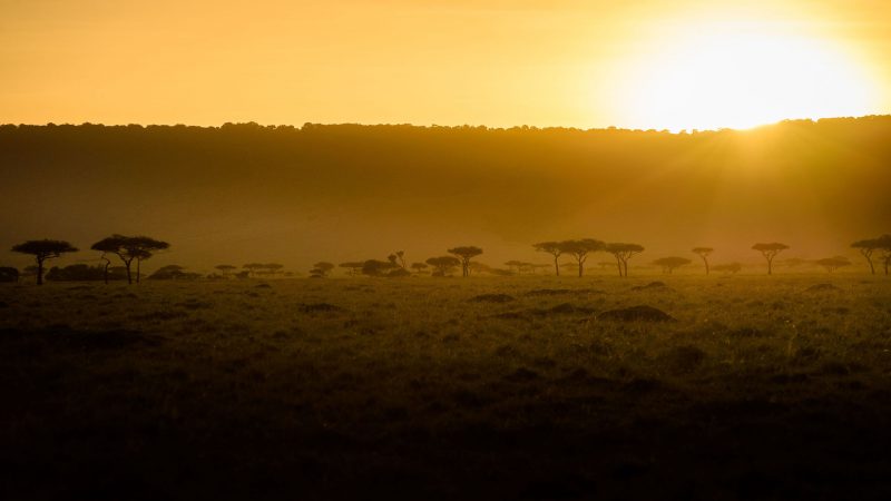 Sanctuary Olonana Camp - Sunset