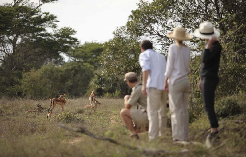 andBeyond Phinda Private Game Reserve - Forest Lodge - Guided Bush Walk