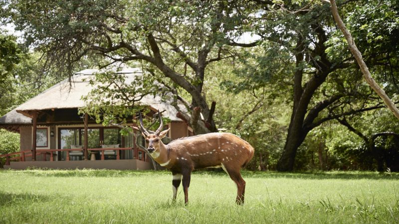 Sanctuary Chobe Chilwero Lodge - Exterior View