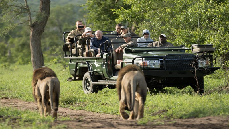 andBeyond Tengile River Lodge - Game Drive