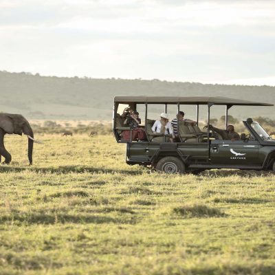 Wilderness of East Africa