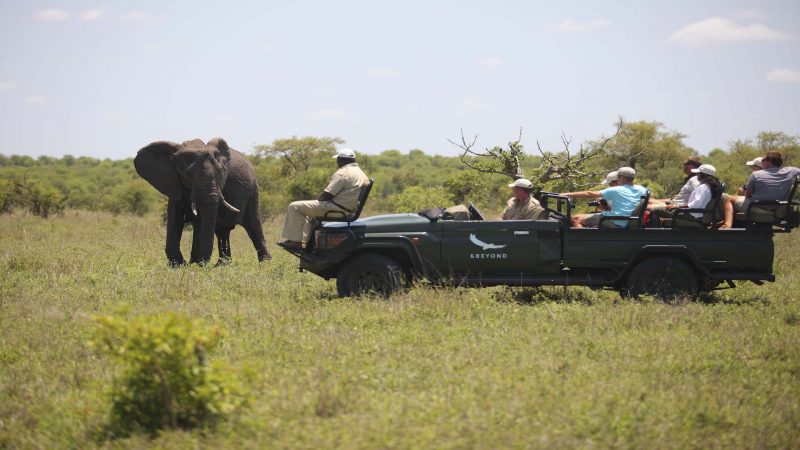 AndBeyond Ngala Safari Lodge - Game Drive