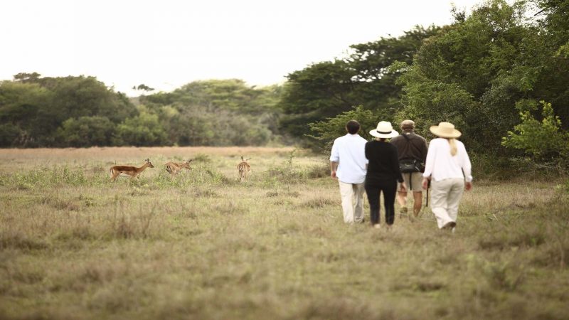 andBeyond Phinda Private Game Reserve - Homestead - Walking Tour