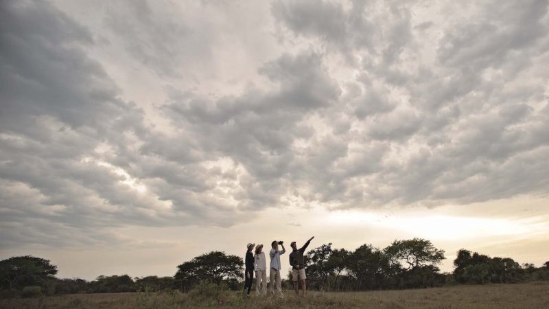 andBeyond Phinda Private Game Reserve - Homestead - Bush Walk