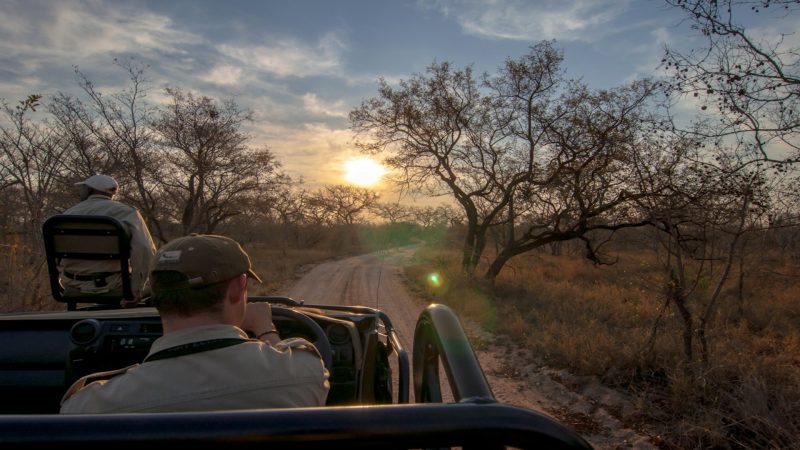 andBeyond Ngala Tented Camp - Game Drive