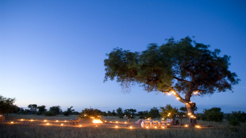 AndBeyond Ngala Safari Lodge - Bush Dinner